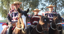 Urrutia y Gazmuri mandaron en Cauquenes para el Urrutia y Gazmuri mandaron en Cauquenes para el