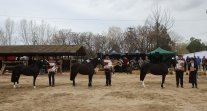 Los Grandes Premios de la Expo Talca 2023