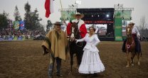 Caballos Peruanos de Paso, uno de los espectáculos favoritos del público en la XXVI Semana de la Chilenidad