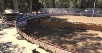Asociación Talagante tiene preparado un entretenido Rodeo Interasociaciones en Hospital
