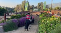 Las colleras premiadas en el Zonal Norte de Batuco