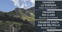 Criaderos La Purísima, Río Claro, Santa de Melipilla, El Libertador y Río Quillaimo salen a remate