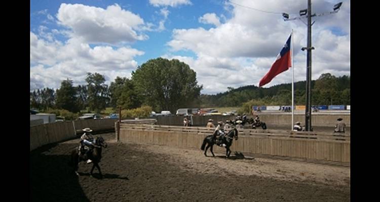 Club Fresia tiene un Interasociaciones Especial con un ganado de primera calidad para el champion