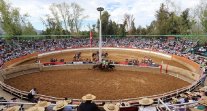Rodeo Para Criadores de Colchagua tiene atractivo programa en San Fernando Rodeo Para Criadores de Colchagua tiene atractivo programa en San Fernando