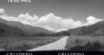 Criaderos El Solar y Don Feli salen a remate con interesantes productos en competencia Criaderos El Solar y Don Feli salen a remate con interesantes productos en competencia