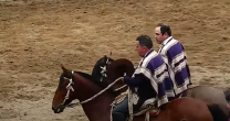 La potente presentación de Peleco en el Rodeo para Criadores de Colchagua