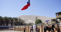 En Arica se vive y respira rodeo: Para nosotros es súper sacrificado En Arica se vive y respira rodeo: Para nosotros es súper sacrificado