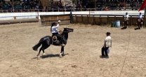 La gran jornada de la Asociación de Criadores de Limarí con el Liceo
