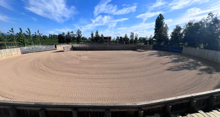 Club Chimbarongo reúne a la Asociación Colchagua en la apertura de puertas de La Carlina