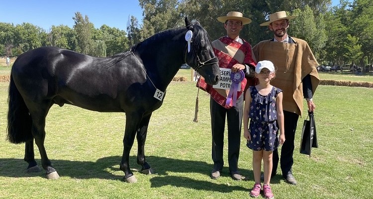 Expo Melipilla se engalana con presentación del Cuadro Verde de Carabineros en Bollenar