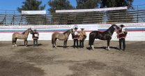 Los Grandes Premios de la Expo Linares 2023