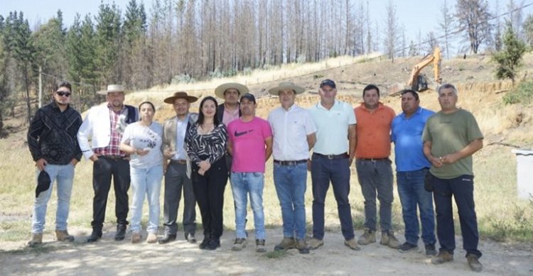 Federación de Criadores y Forestal Arauco impulsan proyecto para reactivar actividades ecuestres en Santa Juana