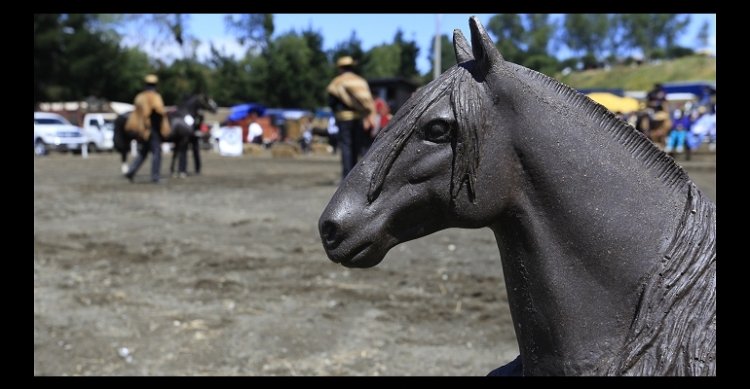 A la espera de la fecha: Estos son los caballos inscritos para la Expo Nacional 2024