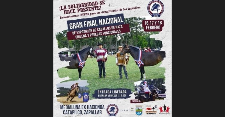 Final de Catapilco será un gran evento solidario del caballo chileno