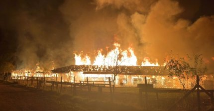 Incendio en el Recinto de la Socabío entristece al mundo ecuestre