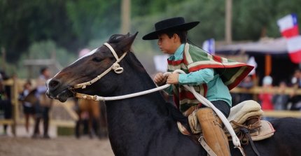Grandes y chicos dieron vida a la competencia de Barrilete en Copiapó