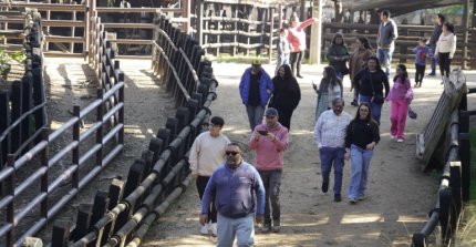 Día de los Patrimonios: Expositores y visitantes destacaron la muestra huasa de la Monumental