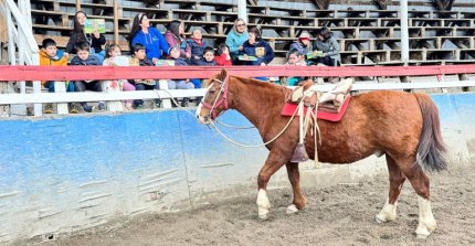 Alumnos de la Escuela Despertar vivieron linda actividad con el Caballo Chileno en Puerto Aysén