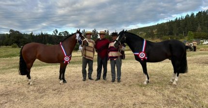 Coraje y Refinada reinaron como grandes campeones de la Expo Casablanca