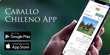 App Caballo Chileno