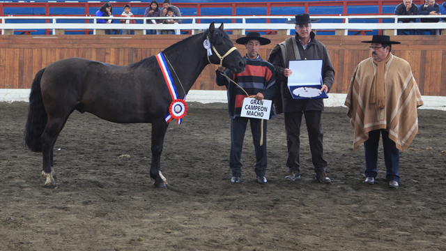 Imagen foto_00000001