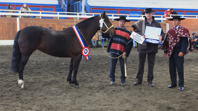 Imagen foto_00000002