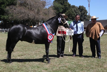 Imagen foto_00000001