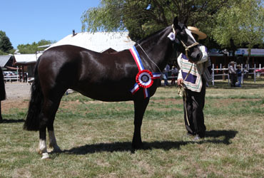 Imagen foto_00000002