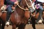 Revise las series del Clasificatorio de San Carlos 2014