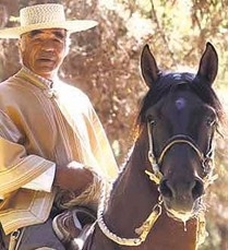 Imagen foto_00000001