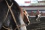 La Serie de Campeones en el Nacional Universitario