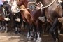 Revise la Serie Campeones del Rodeo del Club San Rafael y la Serie de Prensa