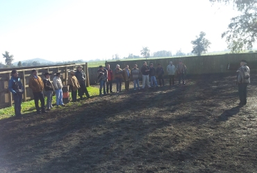 Imagen foto_00000002