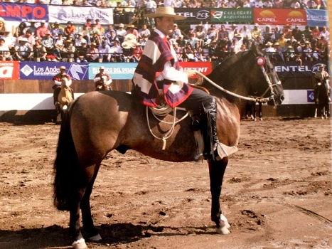 Imagen foto_00000021