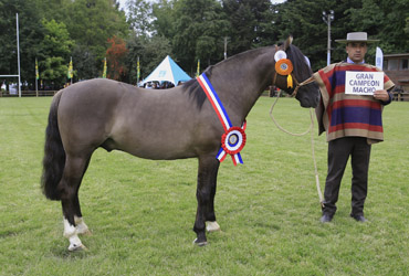 Imagen foto_00000003