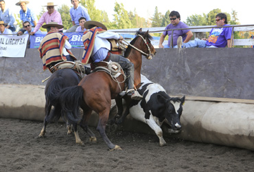 Casas de la Cañada ganó Rodeo Para Criadores de Asociaciones Cordillera ...