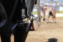 Las planillas de las series de la Final de Rodeos Para Criadores