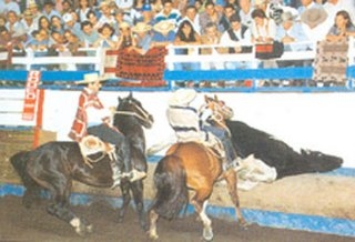 Imagen foto_00000002