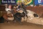 Las planillas de las Series del 67° Campeonato Nacional de Rodeo