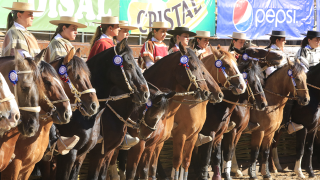 Imagen foto_00000003