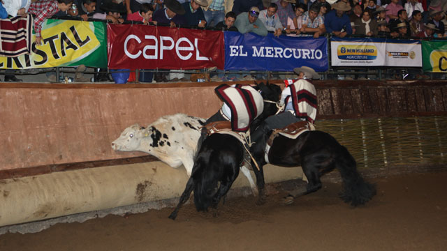 Imagen foto_00000004