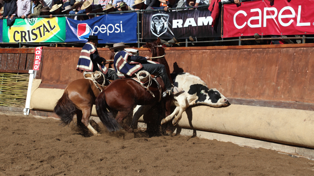 Imagen foto_00000005