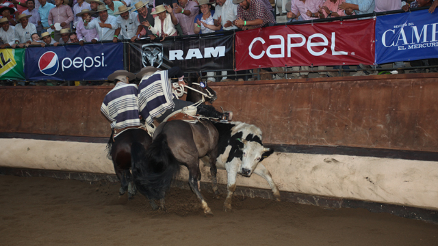 Imagen foto_00000006