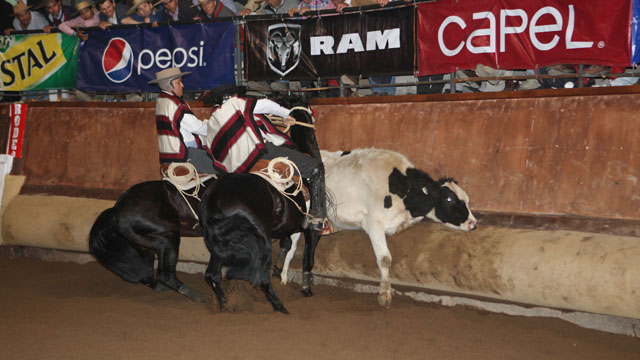 Imagen foto_00000009