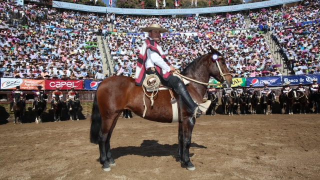 Imagen foto_00000011