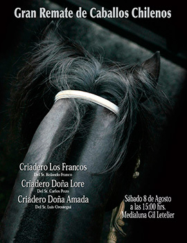 Imagen foto_00000001