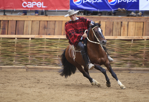 Imagen foto_00000002