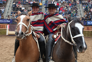 Principio Perno, El Mejor Caballo del Ranking Nacional