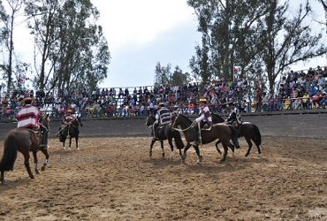 Asociación Quillota reúne a sus socios en el Club Arabe