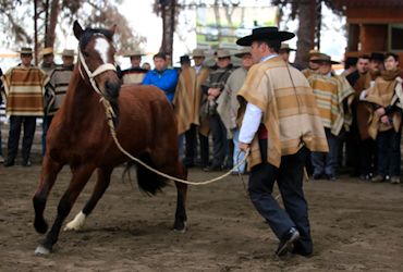 Presidentes de Casablanca y Melipilla quedaron muy satisfechos con jornada en Escuela de Caballería de Carabineros